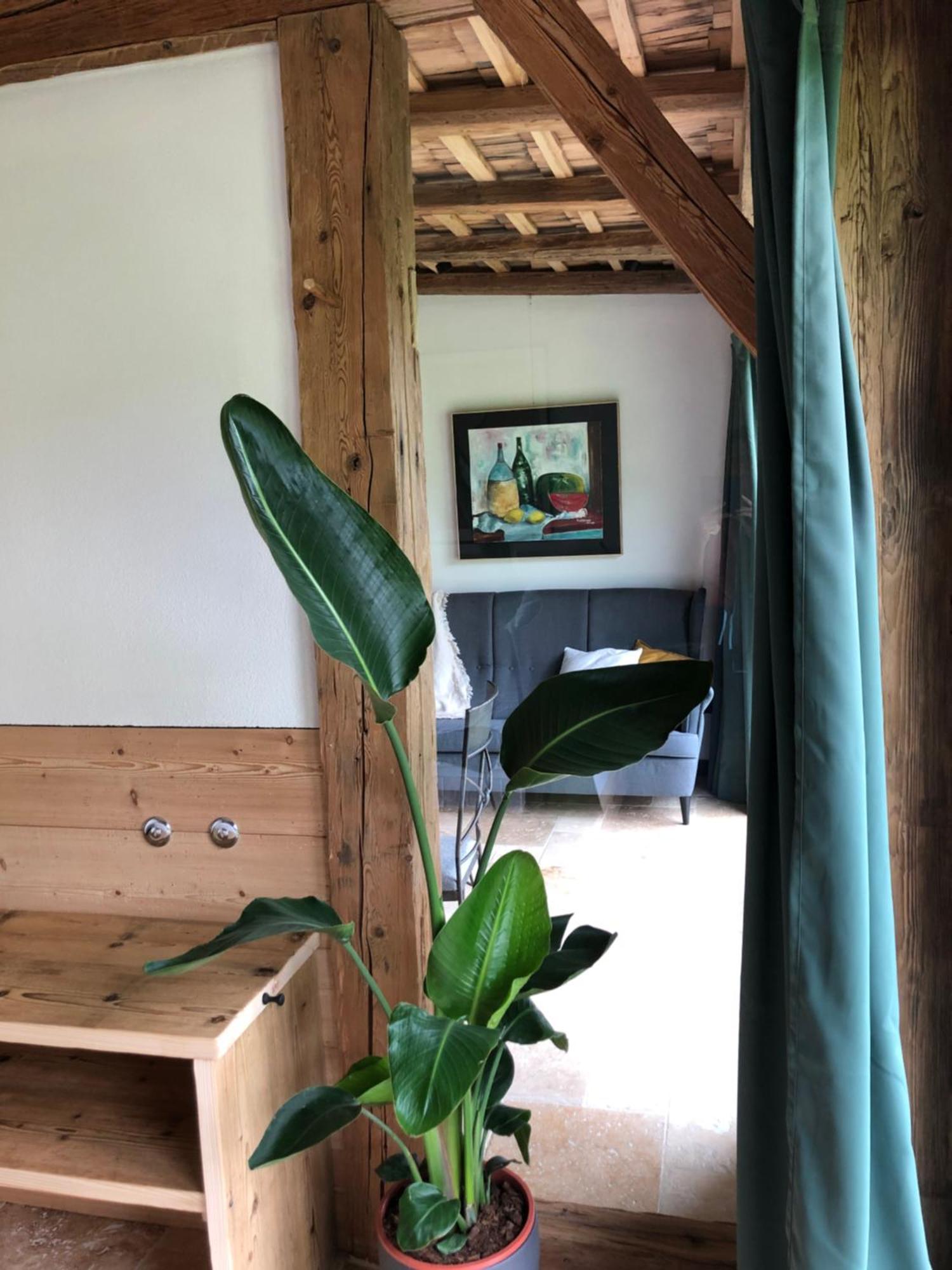 Apartment Stillleben Luxus Fuer Die Seele Abtenau Εξωτερικό φωτογραφία