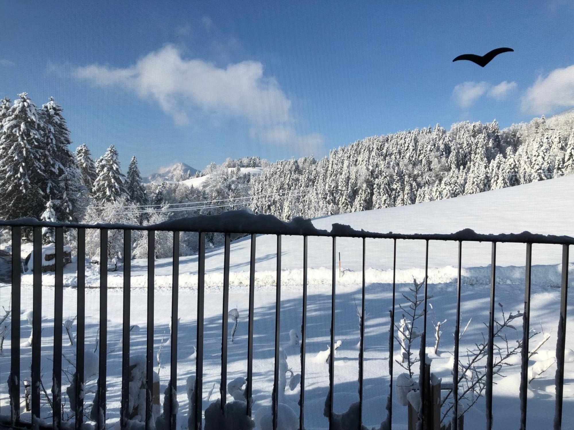 Apartment Stillleben Luxus Fuer Die Seele Abtenau Εξωτερικό φωτογραφία